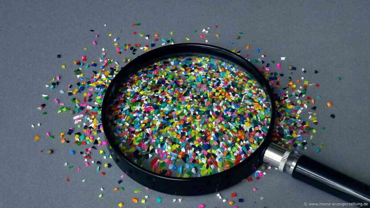 Mikroplastik und ungesunde Ernährung: Was Experimente über die Leber zeigen