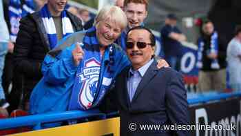 How much Cardiff City is now worth a year after failed bids and promotion