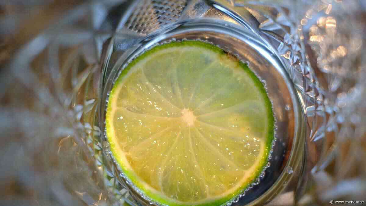 Infused Water leicht gemacht: Fünf gesunde Ideen, um Wasser aufzupeppen