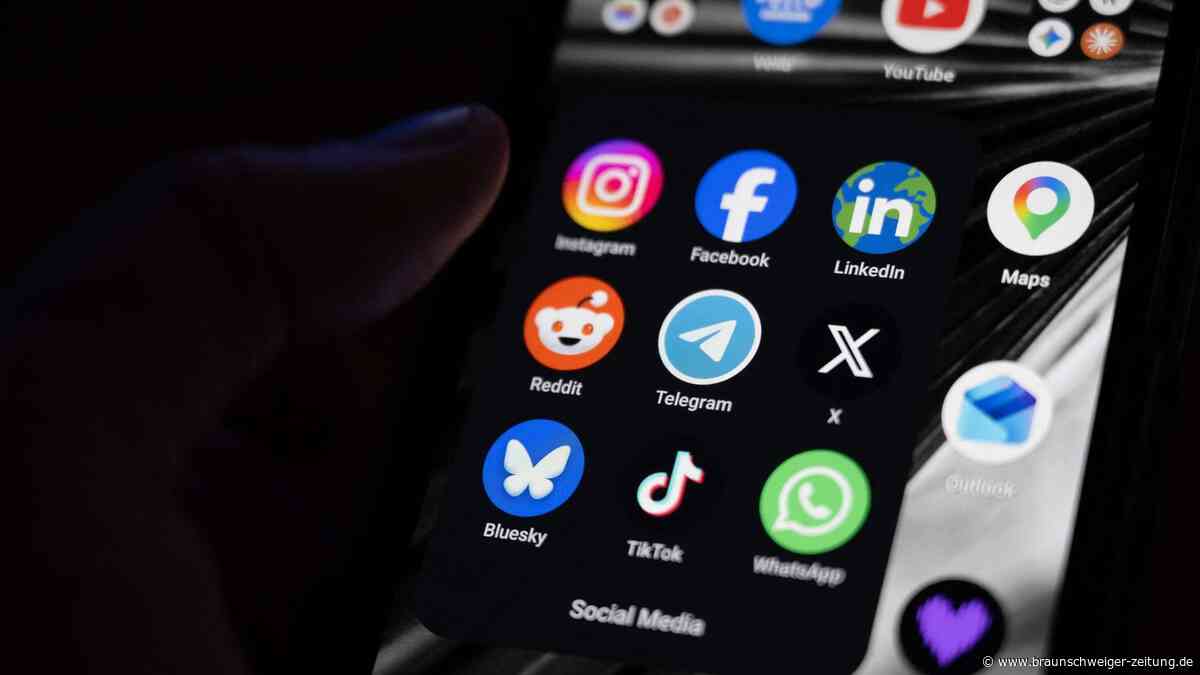 Verfassungsrat stoppt Social-Media-Verbot für unter 15-Jährige in Frankreich
