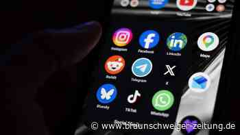 Verfassungsrat stoppt Social-Media-Verbot für unter 15-Jährige in Frankreich