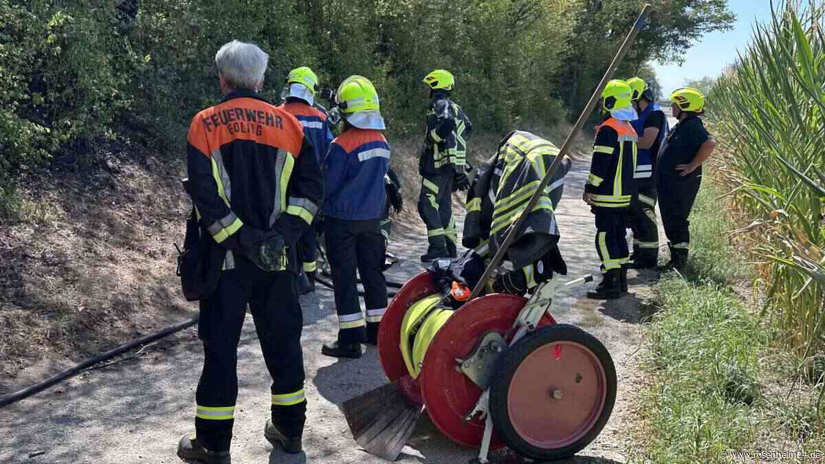 Zweiter Brand an fast der gleichen Stelle: Feuerwehr Edling warnt vor Auswirkungen der Hitze