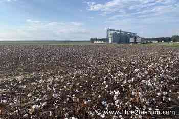 US cotton export sales surge as new crop bookings accelerate: USDA
