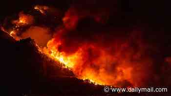 Europe burns: Killer wildfire spreads through Croatia and across the continent, with tourists evacuated from Greek resort and French village