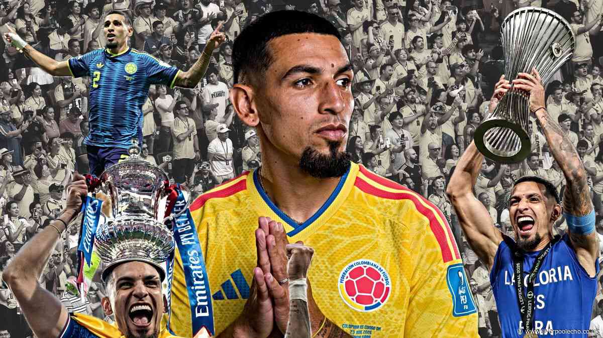 Everton could have found opportunistic gem to finally solve David Moyes problem position