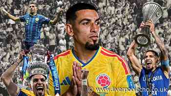 Everton could have found opportunistic gem to finally solve David Moyes problem position