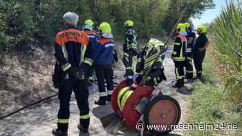 Zweiter Brand an fast der gleichen Stelle: Feuerwehr Edling warnt vor Auswirkungen der Hitze
