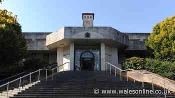 Drink driver stole bottles of lager before leading police on three chases in one night