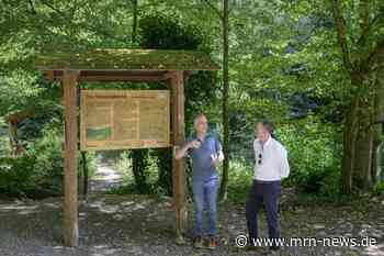 Heidelberg – Sommertour: Umweltbürgermeister Schmidt-Lamontain besuchte das Mühltal