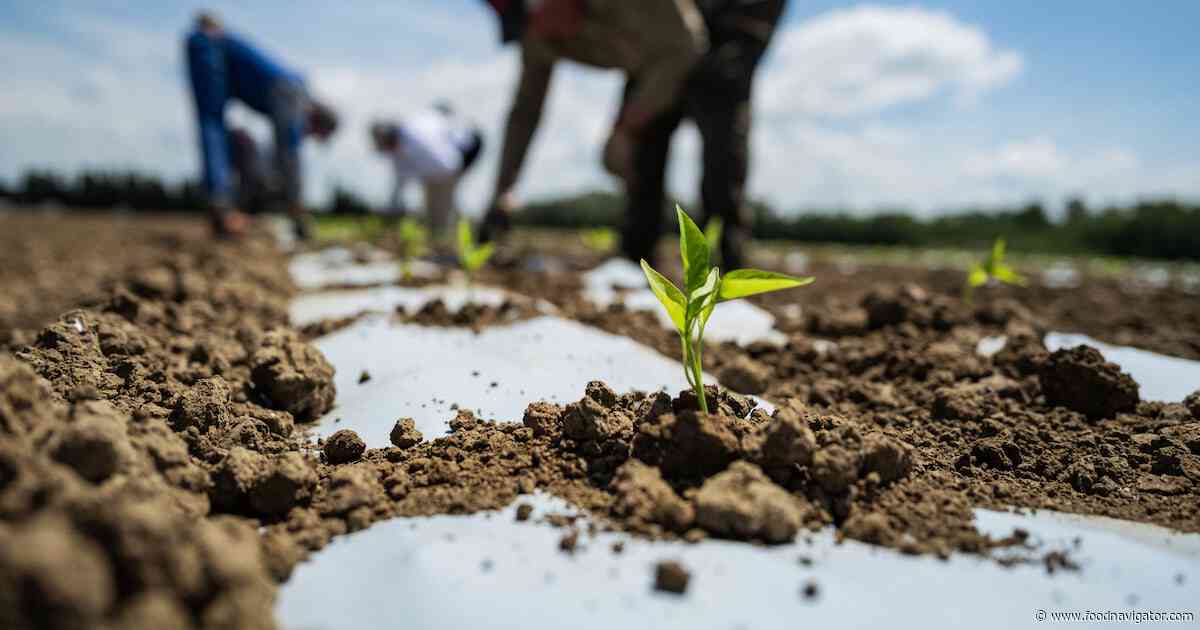 Can PFAS be kept out of food?