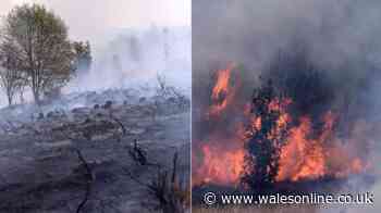 Andy Burnham sends 100 military personnel to Wales as wildfires rage - live updates