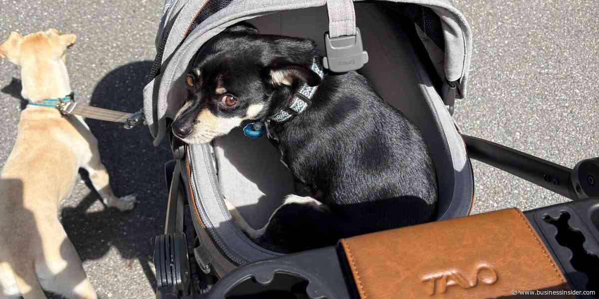 Tavo pet stroller review (2026): Is this 3-in-1 travel system worth $500?