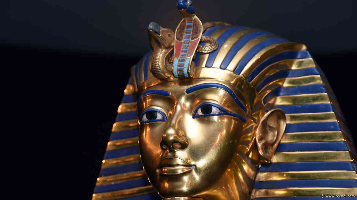 Illegal mummy trafficking may curse buyers with mold, not magic