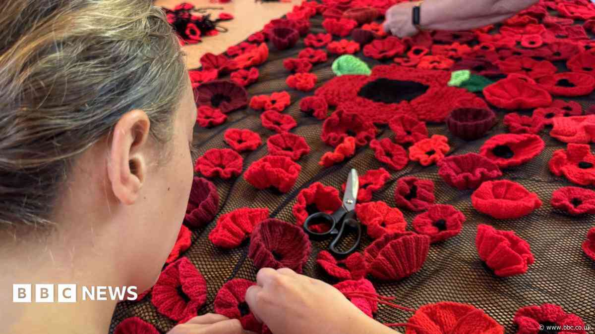 Hundreds join knit-a-thon to make remembrance poppies
