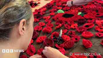 Hundreds join knit-a-thon to make remembrance poppies