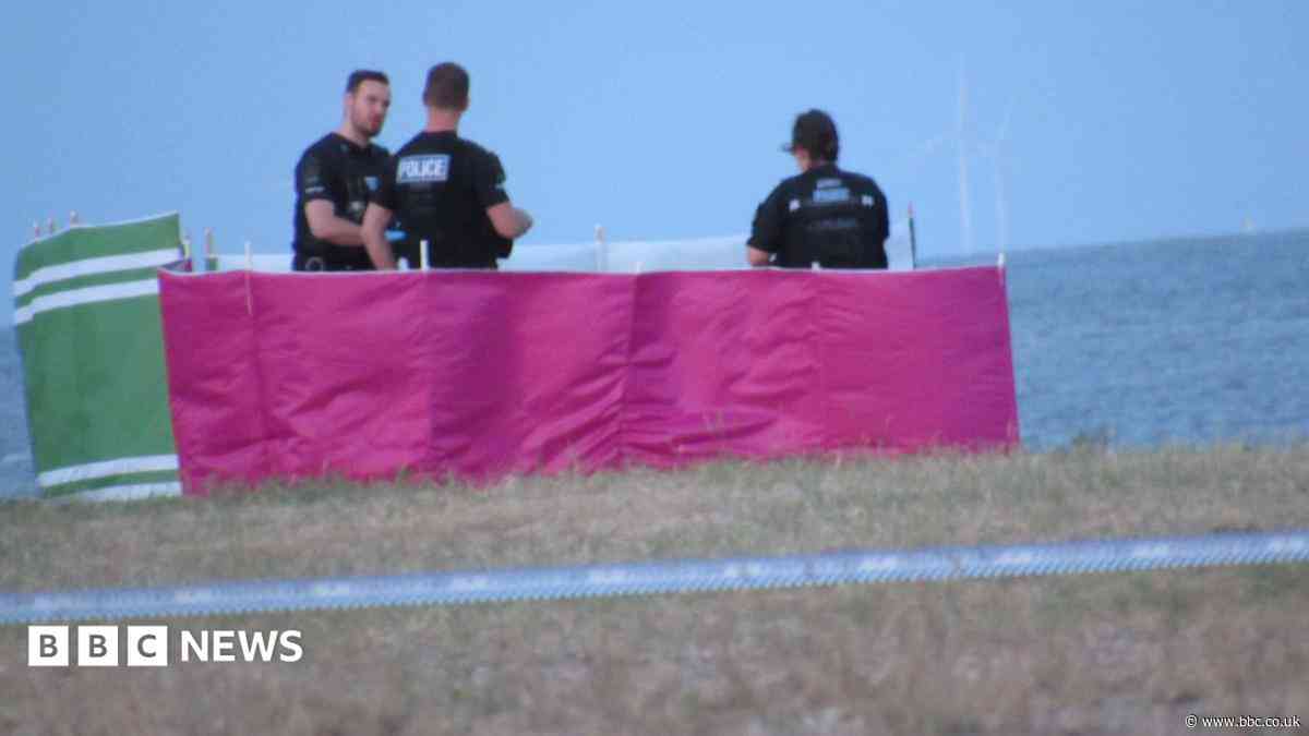 Boy suffered fatal brain injury in seaside drowning