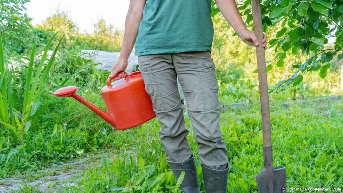 Ist Gartenarbeit Sport? Was Ihr Körper dabei wirklich leistet
