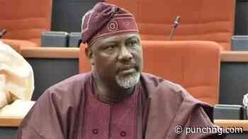 How goat investment helped funded my education — Dino Melaye