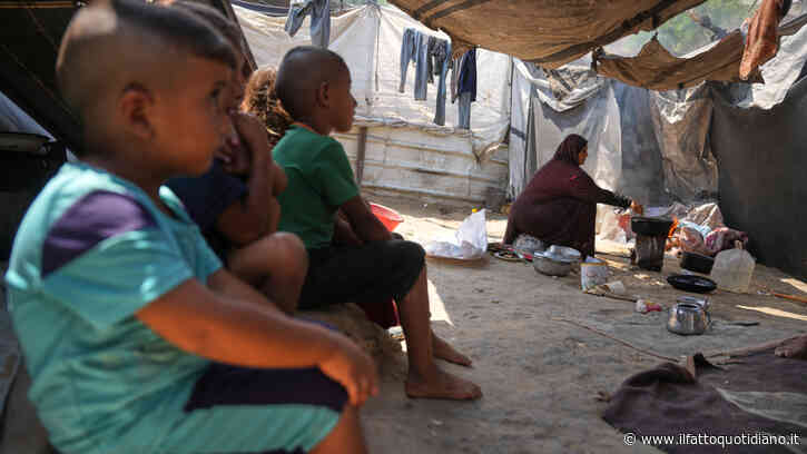 Nobel ai bambini di Gaza, Conte: “Aderisco all’appello. Con Mazzarella presenteremo una formale candidatura”