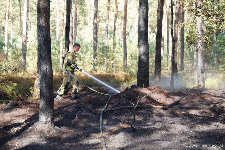 Brandweer rukt uit voor brand in bos en heide