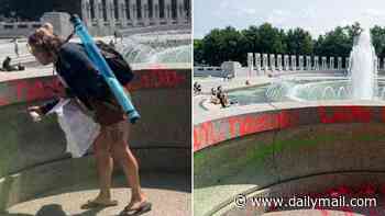 'Despicable' woman facing huge jail term after WWII Memorial vandalism sparked Trump's fury