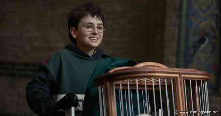 Harry Potter TV Show Loses Black Mirror Director Amid J.K. Rowling Controversy