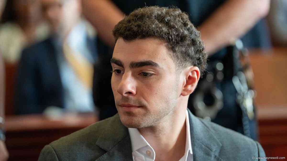 Luigi Mangione pleads guilty to federal stalking charges in CEO's killing