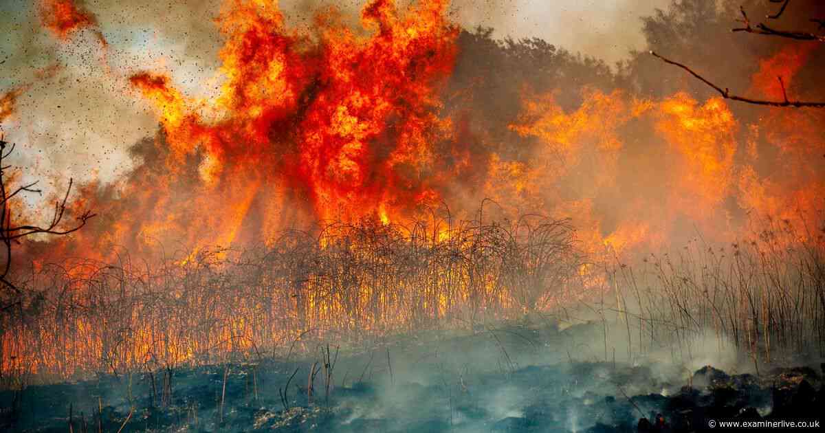 See the 7 dramatic pictures as firefighters battle huge blaze near M1