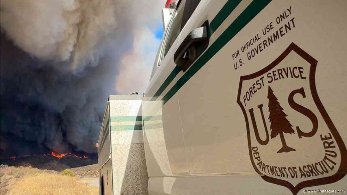 U.S. Forest Service consolidates fire, aviation authority under one deputy chief