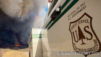 U.S. Forest Service consolidates fire, aviation authority under one deputy chief