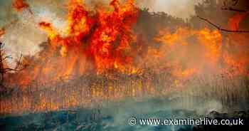 See the 7 dramatic pictures as firefighters battle huge blaze near M1