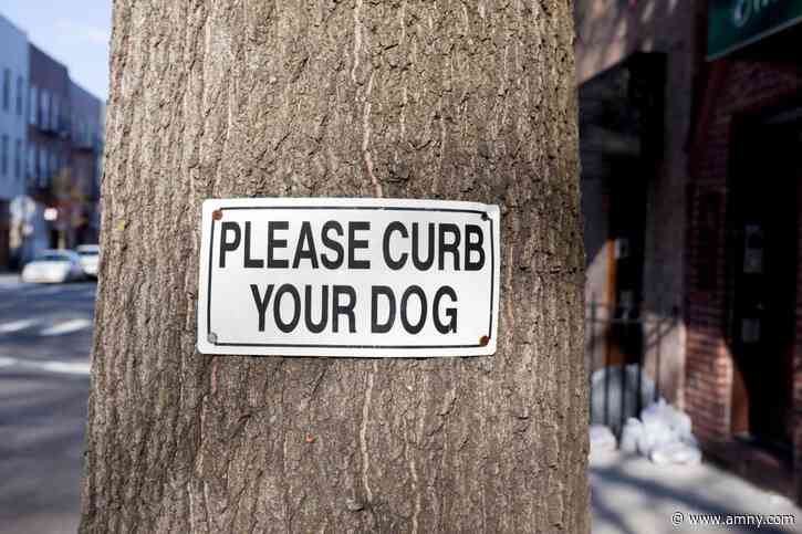 The ‘SCOOP’ on poop: City Council approves bills aimed at getting New Yorkers to clean up after their dogs