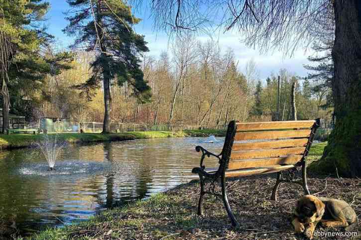 Abbotsford farm hosting Yuk Yuk’s event for first time