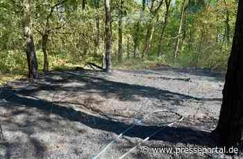 FW Hünxe: Waldbrand in Hünxe