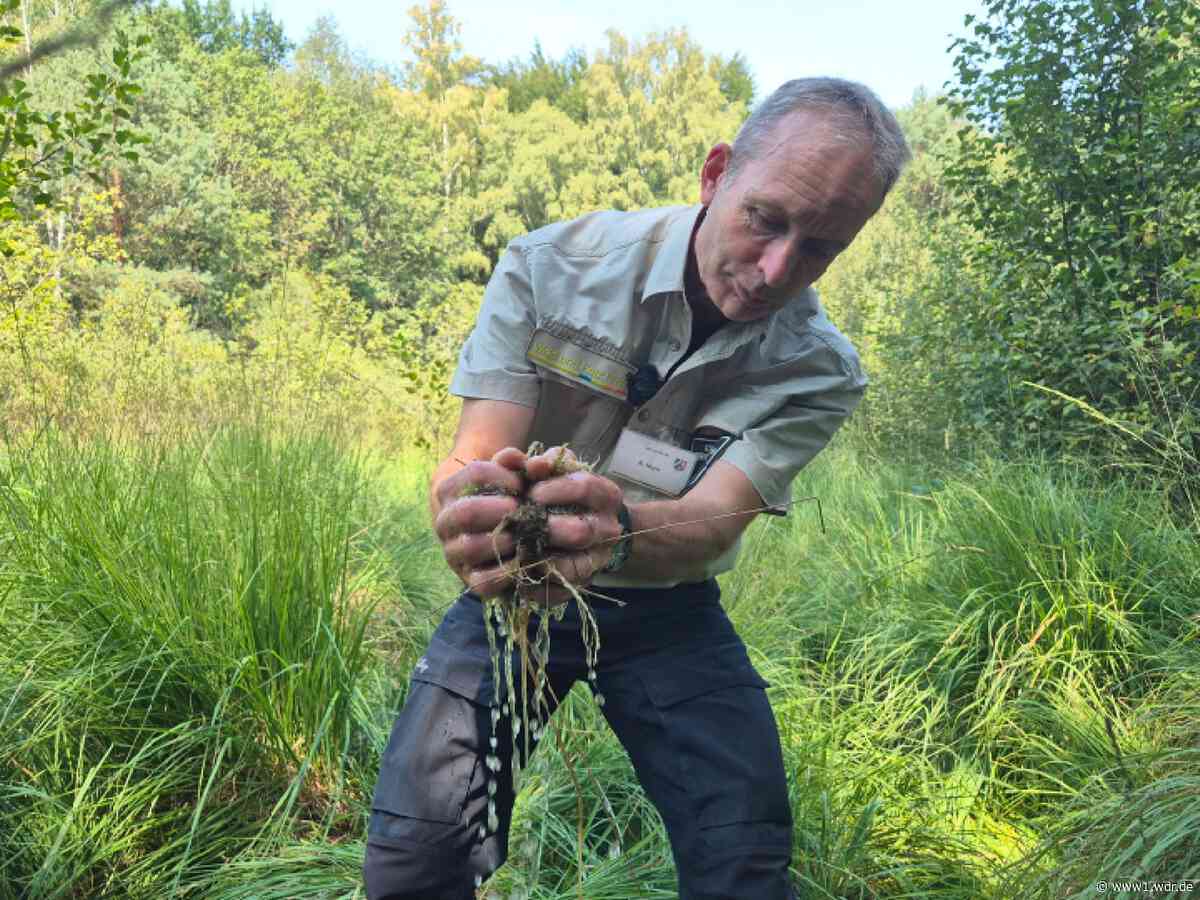 Teiche und Moore in Lohmar sollen gerettet werden