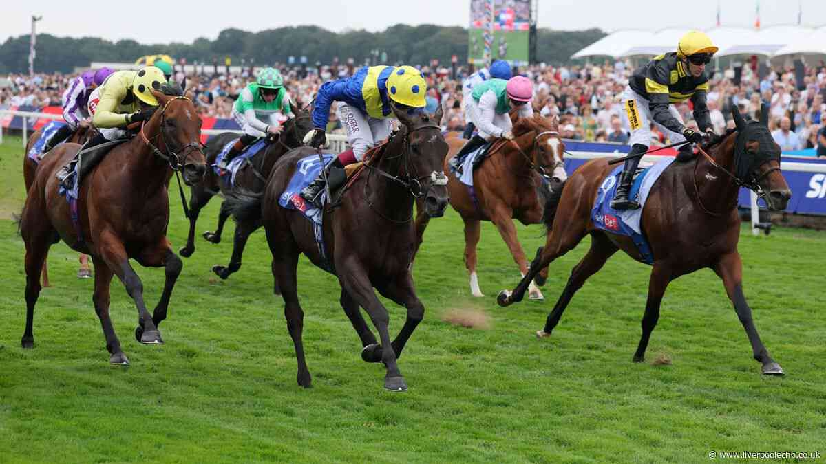 Horse Power: Never So Brave to win the Hungerford Stakes at Newbury