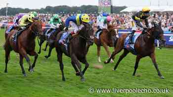 Horse Power: Never So Brave to win the Hungerford Stakes at Newbury
