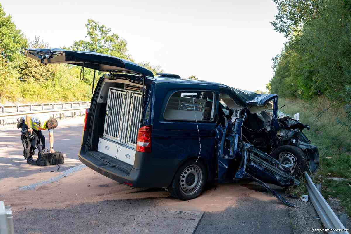 Transporter für Sprengstoffspürhunde in schweren Unfall auf A 14 verwickelt