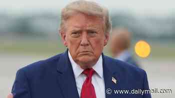 Trump begs 'drug addict' donor for peace after their explosive feud... amid GOP money panic