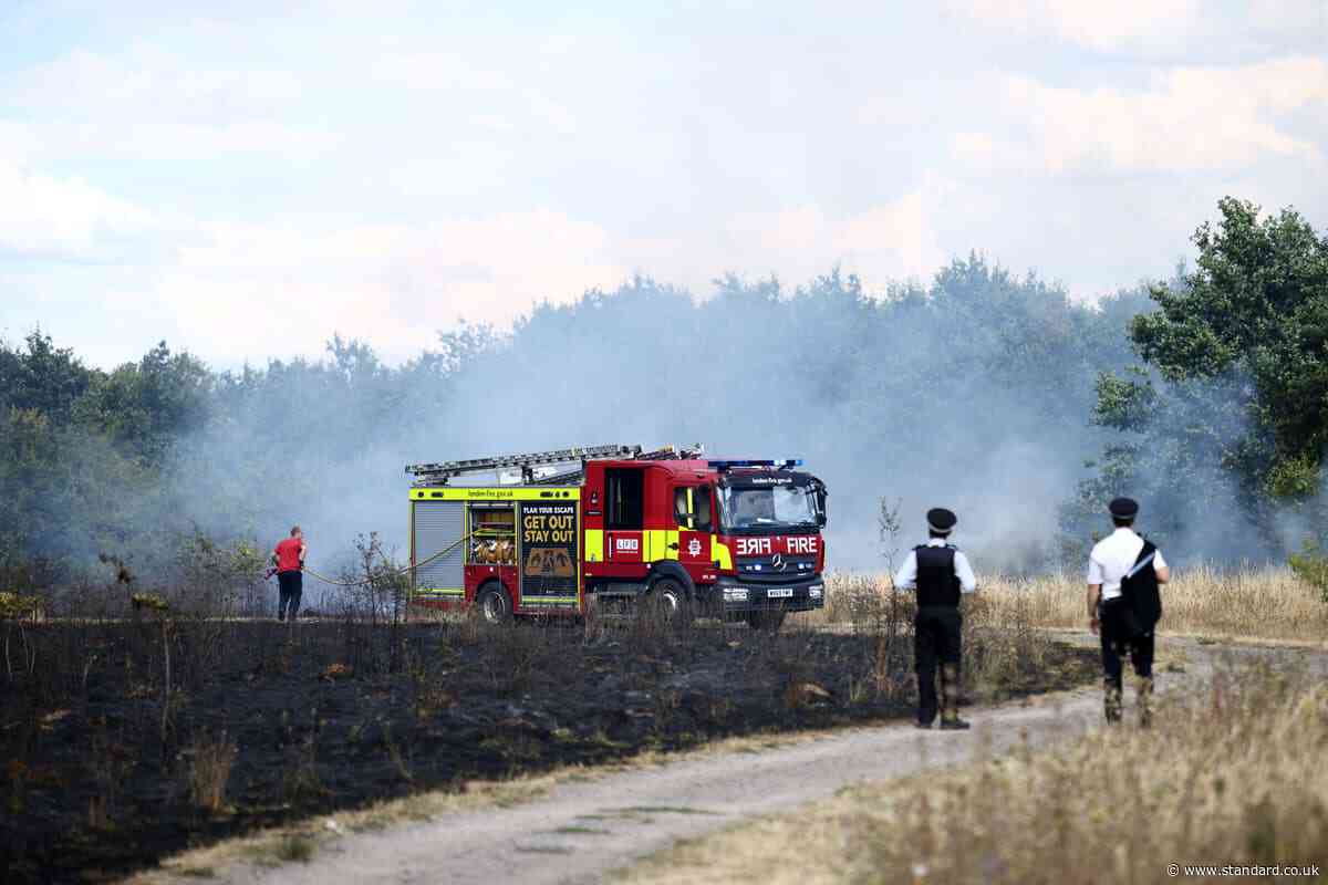 Fire tears through east London park as 90 firefighters tackle blaze