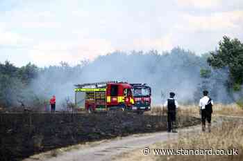 Fire tears through east London park as 90 firefighters tackle blaze