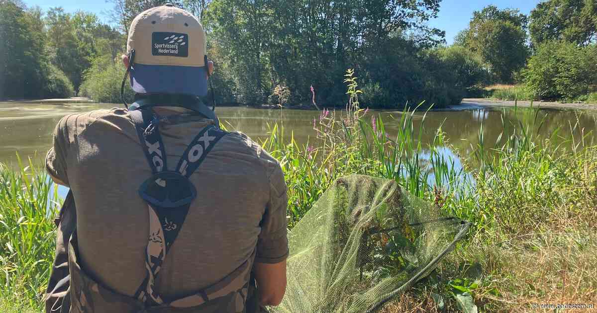Rambo’s geheime reddingsactie voor de karpers uit de kanovijver: ‘Zo’n brute dood gun je niemand’