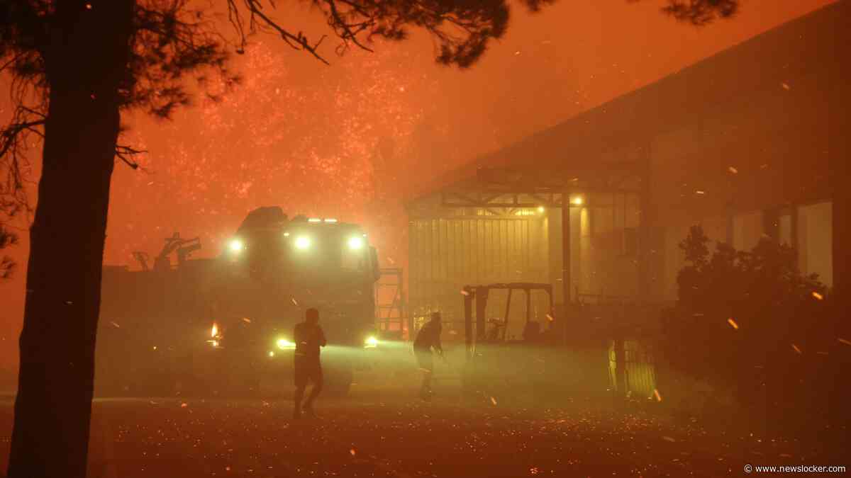 Nederlandse vakantiegangers geëvacueerd om bosbrand Kroatië: opgevangen in sporthal en in nieuw hotel geplaatst