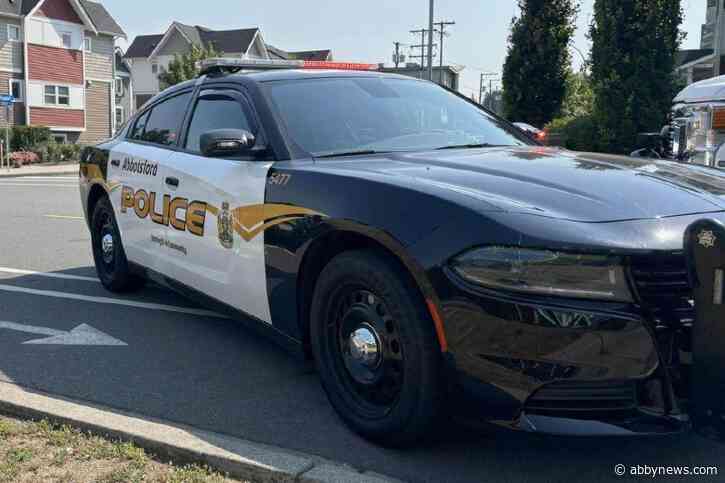 Impaired drivers and violent crimes on the decline in Abbotsford