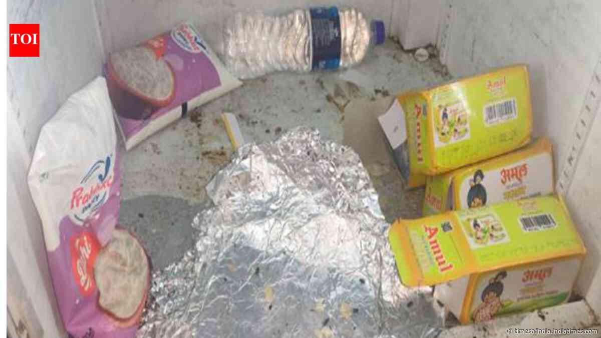 Cockroaches, expired food: Maharashtra FDA suspends 14 licences linked to Blinkit, Zepto, Instamart