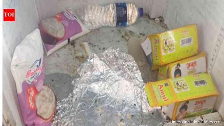 Cockroaches, expired food: Maharashtra FDA suspends 14 licences linked to Blinkit, Zepto, Instamart