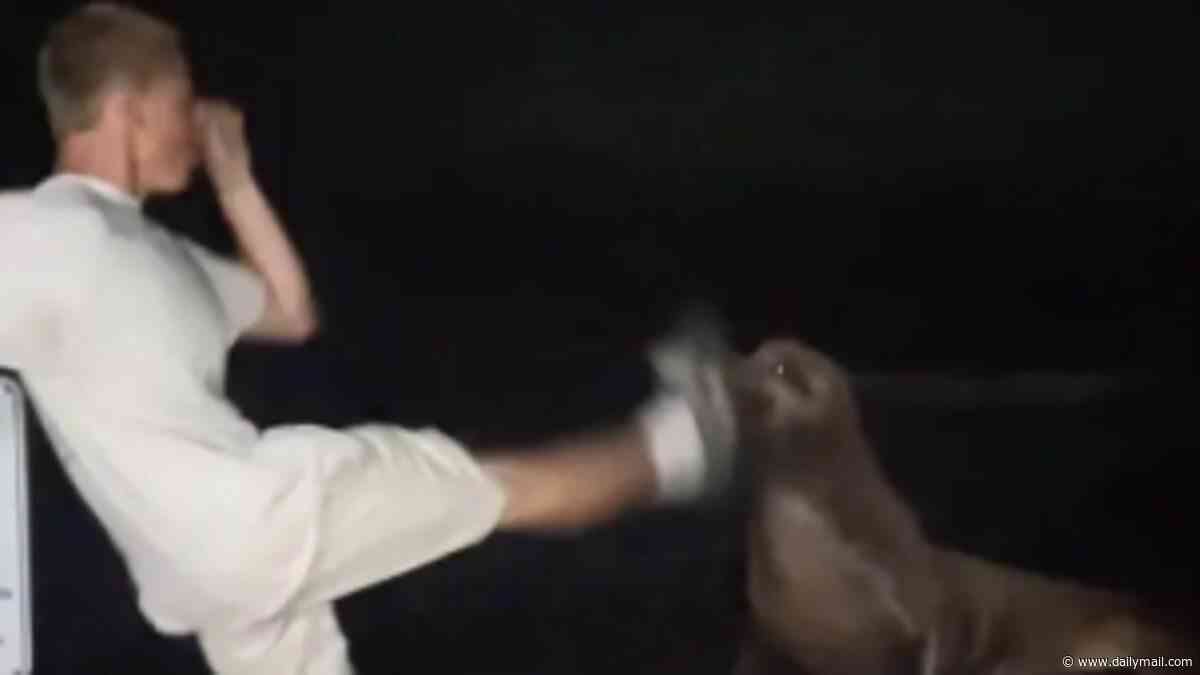 Vile rich kid, 18, set to swap ritzy enclave for PRISON after he admitted repeatedly kicking terrified sea lion that tried to get away from him