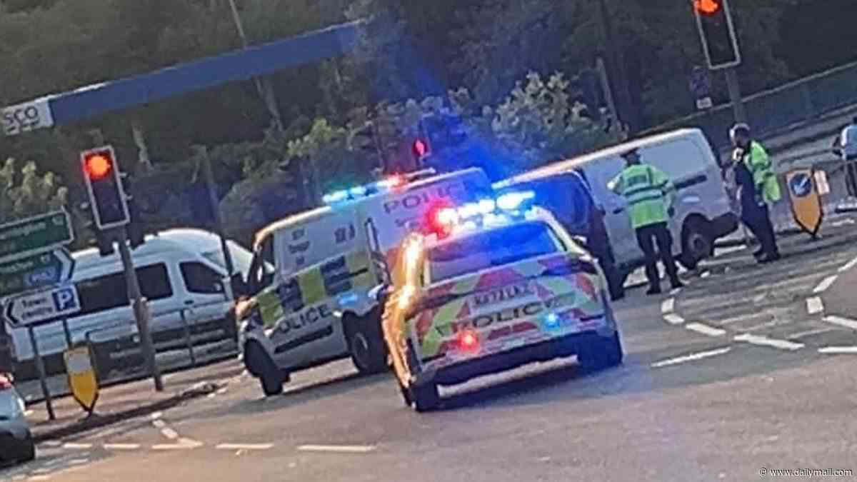 Moment thief steals Amazon delivery van carrying £1,000 of parcels and leads police on terrifying 100mph chase before crashing