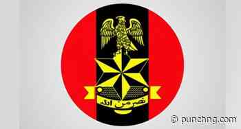 Army rescues nine kidnapped victims, foil terrorist attacks in Niger