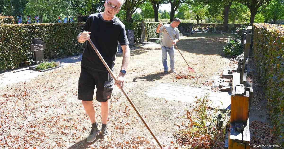 Droogte op Leijsenakkers, hovenier Patrick (55): ‘Jonge boompjes krijgen voorrang en extra gietertje voor de graven’